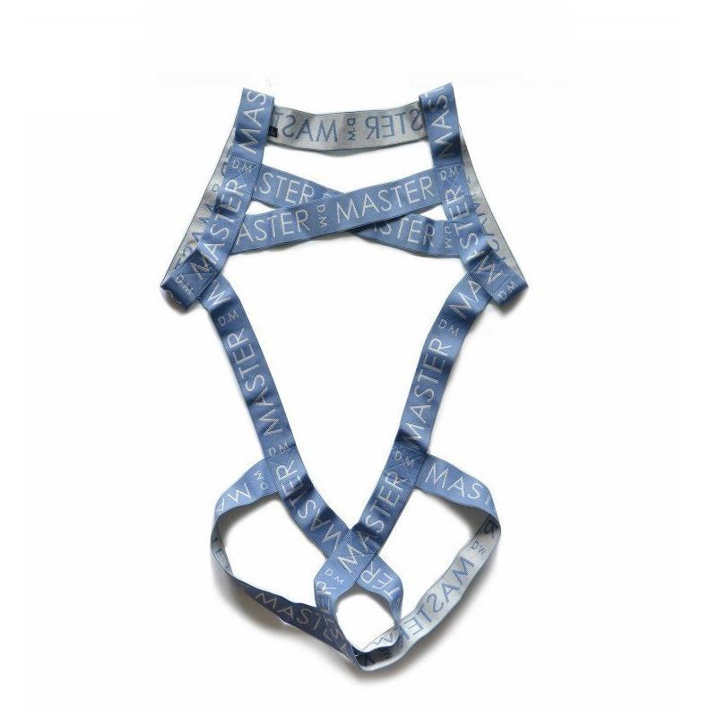 D.M Full Body Harness  - Cerulean Blue