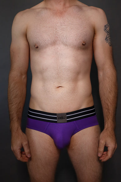 DSU SIGNATURE Purple Briefs