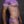 Load image into Gallery viewer, LOTUS Brief - Lavender
