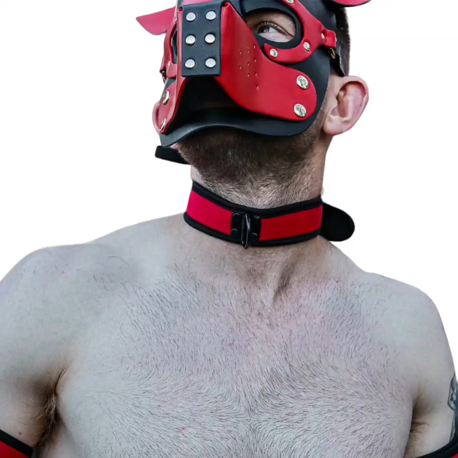 Neoprene Collar - Red